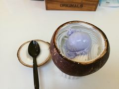 -志龙皇冠吃货椰子铺