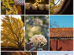 -故宫博物院(故宫)