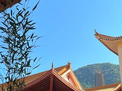 -深圳仙湖植物园