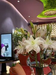 -花隐·美芙炫海菲秀皮肤管理中心