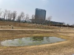 -春花秋色城市公园