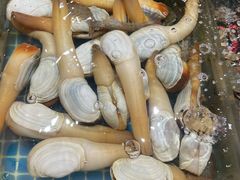 -连鹭海鲜·海肠捞饭·海胆饭(星海店)