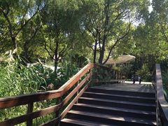 iphone_upload_pic-新江湾城公园