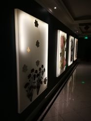-法国安杰玛SPA会所