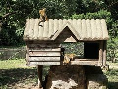 -上海野生动物园