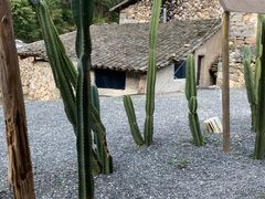 -MOJ coffee(瓯海泽雅水碓坑店)