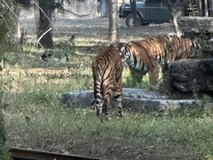 -秦皇岛野生动物园