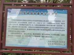 -北京鹫峰国家森林公园