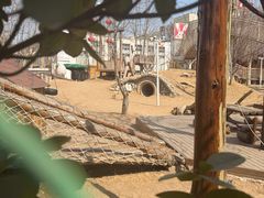 -金宝幼儿园(通州校区)