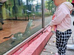 -荆州中山公园动物园