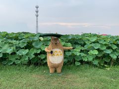 -嘉北郊野公园