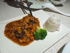 -船歌·鱼水饺青岛菜(金狮广场店)