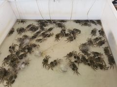 -思源鱼庄
