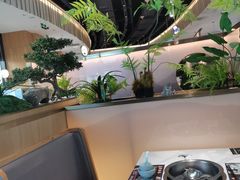 -马家斑.鲜鱼火锅(松湖万科店)