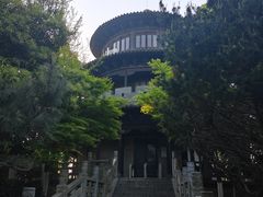 -八大山人梅湖景区