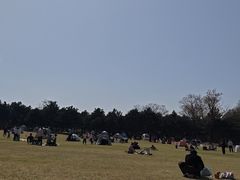 -石家庄市植物园