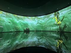 -中国湿地博物馆