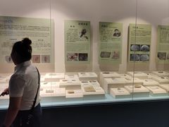 -辽宁古生物博物馆