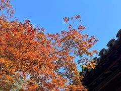 -苏州文庙(姑苏区)