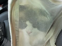 -安安宠医宠物医院·异宠·犬猫内科(岳阳分院)