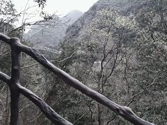 -宁波五龙潭景区