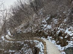 -北京西山国家森林公园