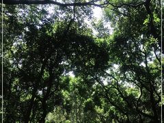 -云洞岩风景区