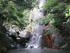 -莫干山风景区
