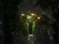 -顶层酒吧ROOF(上海艾迪逊酒店)