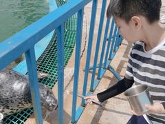 -北戴河圣蓝海洋公园