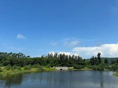 -嘉和冠山海高尔夫球会