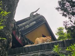 -枫桥景区