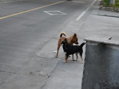-石塘特色小吃