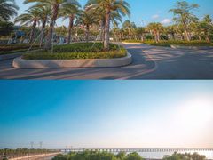 -宝安西湾红树林湿地公园