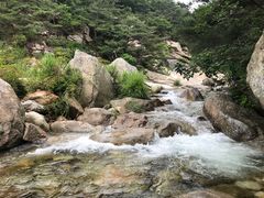 -无染寺
