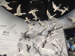 -中国湿地博物馆