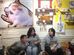 -平行世界·猫咖(首经贸店)