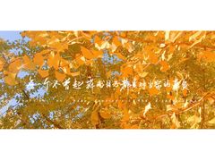 -辽宁大学(崇山校区)