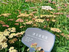 -国家植物园