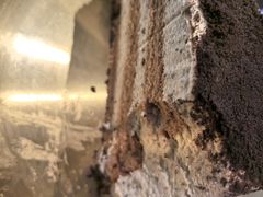 -喜井无限自助烤肉公司(石厦店)