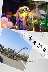 -恐龙探索乐园(磁器口店)
