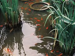 -聚缘堂·海鲜私房菜(松岭路店)