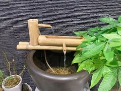 -悦享采耳·洗头头疗·推拿SPA(杭州店)
