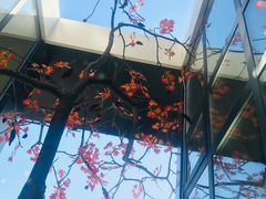 -融和里(华润·二十四城店)