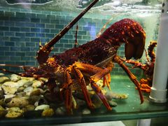 -东国海鲜火锅城(氹仔店)