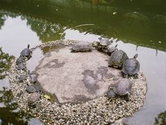 -黔灵山公园