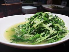 鸡毛菜-集贤门·徽菜(南山店)