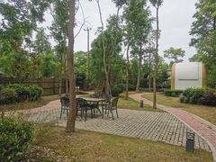 -上海海湾国家森林公园