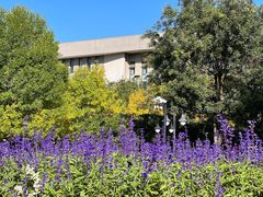 -中央戏剧学院(昌平校区)