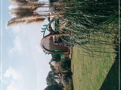 -同里国家湿地公园
